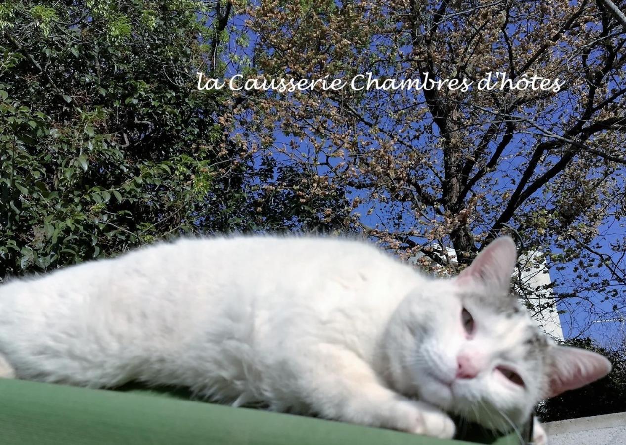 La Causserie, 2 Chambres D'Hotes, 2 A 4 Invites, Pour Vous Seuls Gramat Kültér fotó